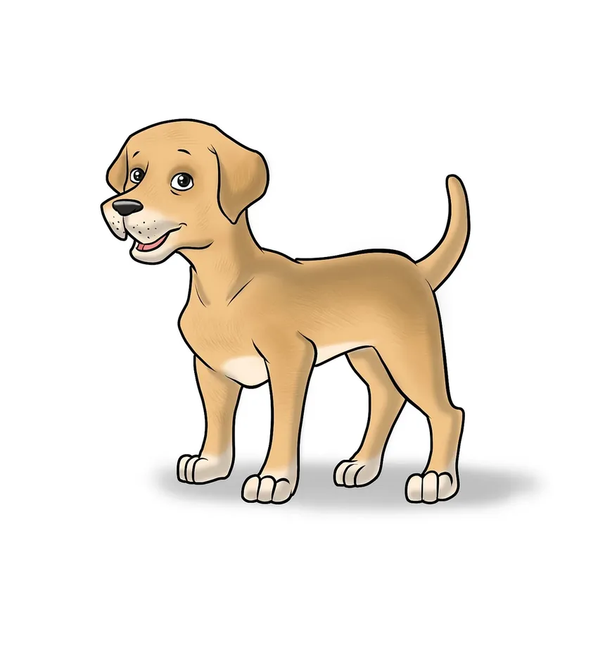 Como Ajudar Meu Cão a Se Recuperar de um Ataque de Cão